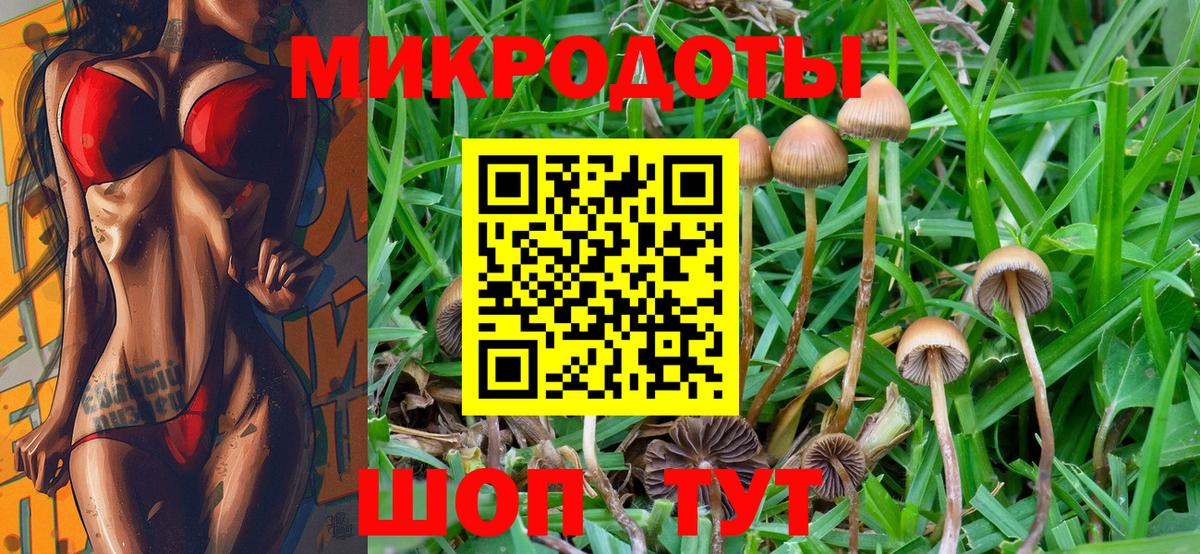 Галлюциногенные грибы ЛСД  Вход с VPN  Петропавловск-Камчатский 
